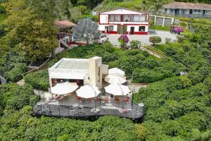 An aerial view of a coffee farm featuring a cafe with outdoor seating, surrounded by lush greenery and various buildings.